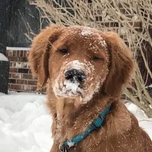 Meet your Posher, Montezuma